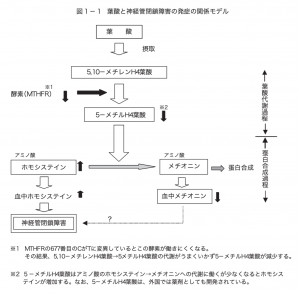 葉酸・ビタミンDと生活習慣（喫煙・飲酒）と妊活 | 扇町レディース